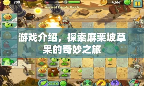 探索麻栗坡草果的奇妙之旅，游戲介紹