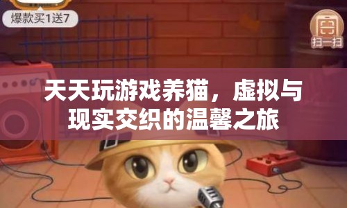 虛擬與現(xiàn)實交織的溫馨之旅，天天玩游戲養(yǎng)貓