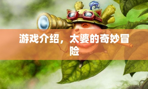 太婆的奇妙冒險(xiǎn)，一場(chǎng)充滿驚喜與冒險(xiǎn)的旅程
