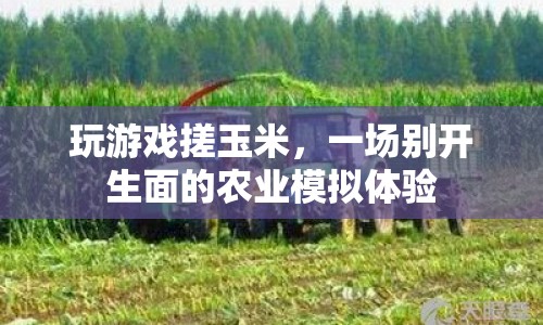 農(nóng)業(yè)模擬新體驗(yàn)，玩游戲搓玉米