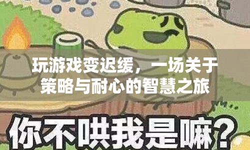 策略與耐心，一場智慧之旅中的游戲遲緩