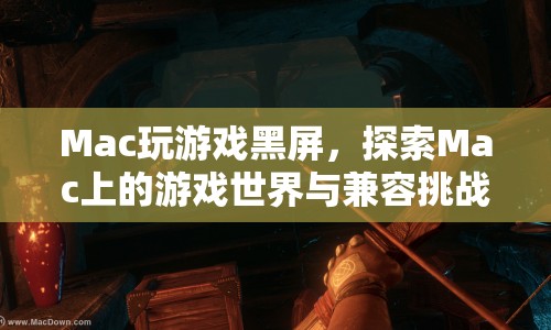 Mac游戲兼容挑戰(zhàn)，探索游戲世界卻遇黑屏困擾