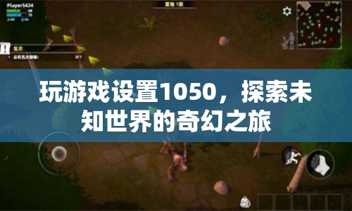 探索未知世界的奇幻之旅，游戲設(shè)置1050