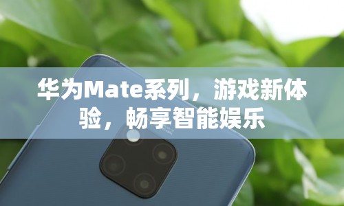 華為Mate系列，開(kāi)啟游戲新體驗(yàn)，暢享智能娛樂(lè)時(shí)代