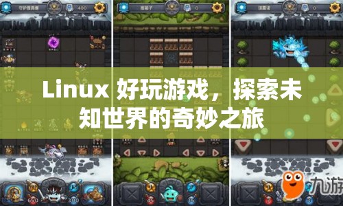 探索未知世界的奇妙之旅，Linux上的精彩游戲