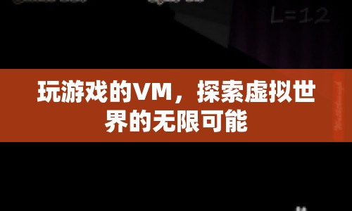 探索虛擬世界的無(wú)限可能，玩游戲的VM
