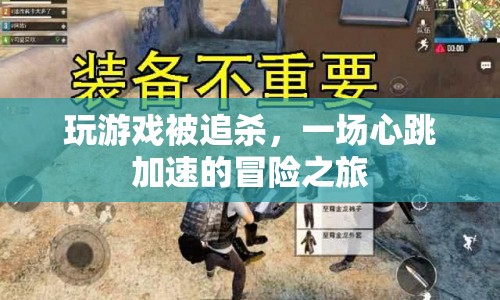 心跳加速的冒險(xiǎn)，被追殺的驚險(xiǎn)游戲之旅