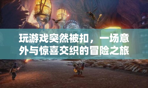 一場(chǎng)意外與驚喜交織的冒險(xiǎn)之旅