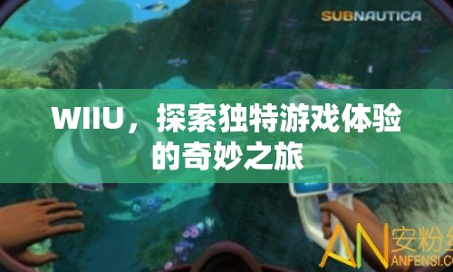 WIIU，開啟獨特游戲體驗的奇妙之旅