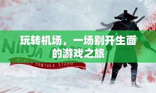 玩轉(zhuǎn)機(jī)場(chǎng)，一場(chǎng)游戲與旅行交織的奇妙之旅