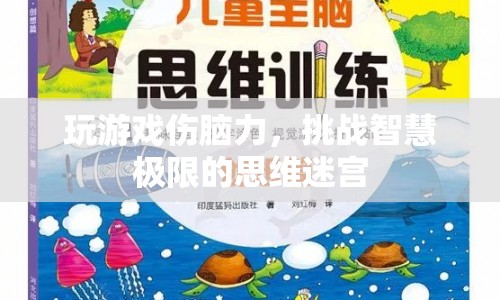 挑戰(zhàn)智慧極限，思維迷宮中的腦力挑戰(zhàn)