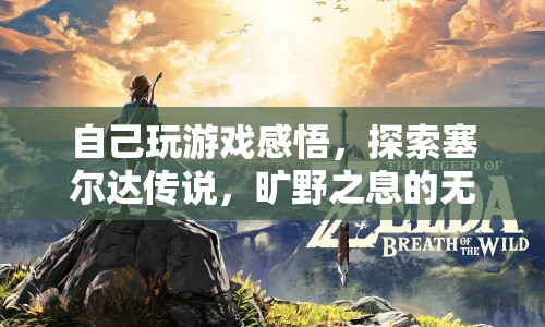 探索塞爾達(dá)傳說，曠野之息的無限可能