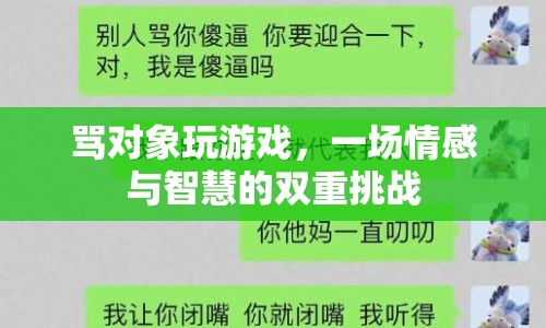 罵對(duì)象玩游戲，情感與智慧的雙重挑戰(zhàn)
