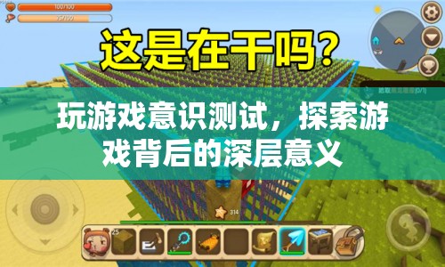 游戲意識(shí)測(cè)試，探索游戲背后的深層意義