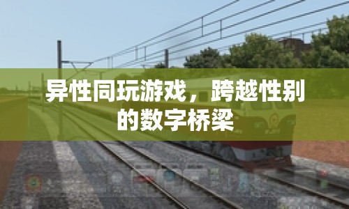 異性同玩游戲，跨越性別的數(shù)字橋梁