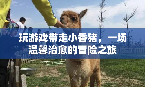 小香豬冒險記，溫馨治愈的奇幻之旅