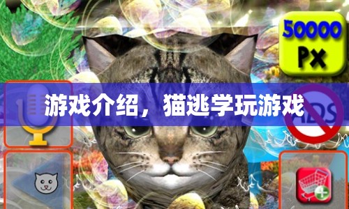 貓?zhí)訉W(xué)，趣味橫生的冒險游戲  第1張