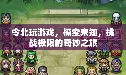 令北的奇妙之旅，探索未知，挑戰(zhàn)極限