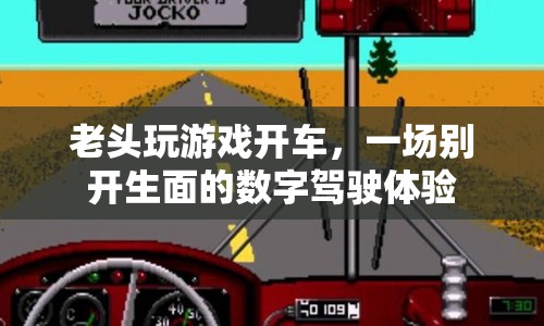 老頭數(shù)字駕駛，游戲開車體驗