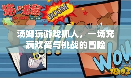 湯姆的歡樂抓人冒險