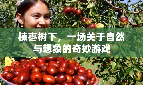 楝棗樹下，自然與想象的奇妙交響曲