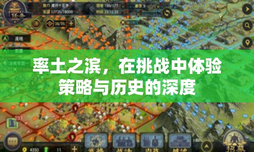 率土之濱，在挑戰(zhàn)中體驗策略與歷史的深度之旅