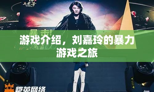 劉嘉玲的暴力游戲之旅，一場(chǎng)驚險(xiǎn)刺激的游戲之旅
