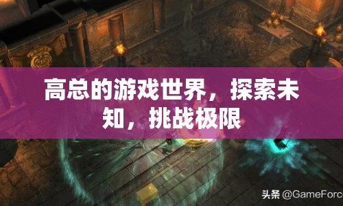 高總的游戲世界，探索未知，挑戰(zhàn)極限