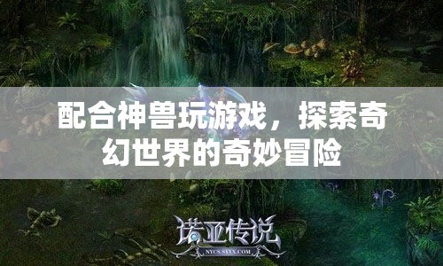 探索奇幻世界的奇妙冒險(xiǎn)，與神獸共舞