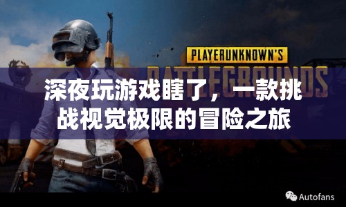 挑戰(zhàn)視覺極限的冒險之旅，深夜玩游戲導致失明