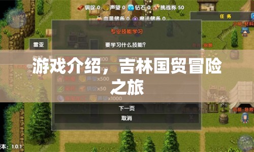 吉林國貿(mào)冒險之旅，一場精彩紛呈的游戲盛宴