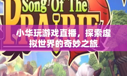 小華探索虛擬世界，游戲直播的奇妙之旅