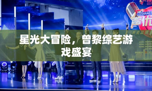曾黎綜藝游戲盛宴，星光大冒險(xiǎn)