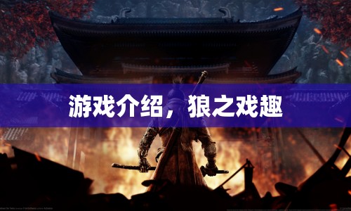 狼之戲趣，探索趣味游戲世界