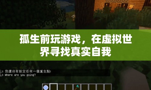 孤生前玩游戲，在虛擬世界尋找真實自我之旅