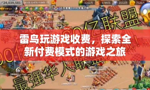 雷鳥探索全新付費模式，玩游戲也能收費！