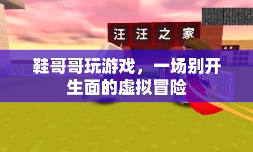 鞋哥哥虛擬冒險，一場別開生面的游戲之旅
