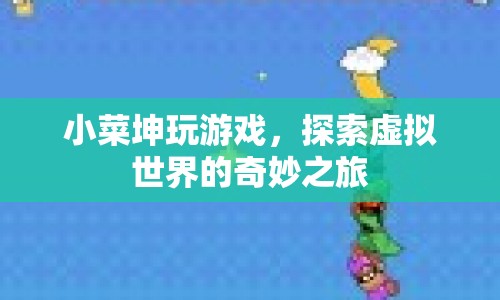 小菜坤的虛擬世界探險(xiǎn)之旅