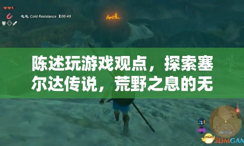 探索塞爾達(dá)傳說，荒野之息的無限可能