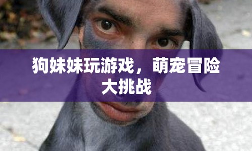 萌寵冒險(xiǎn)大挑戰(zhàn)，狗妹妹的歡樂(lè)游戲時(shí)光