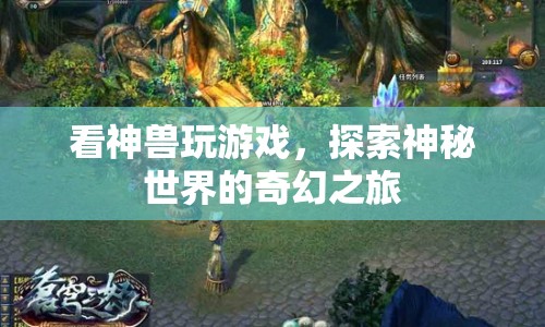 探索神秘世界的奇幻之旅，看神獸玩游戲