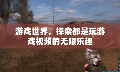 游戲世界，探索無限樂趣的玩視頻之旅