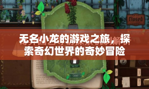 無名小龍，奇幻世界的冒險之旅