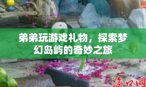 探索夢幻島嶼，弟弟的奇妙游戲之旅