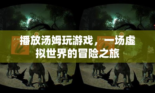 湯姆玩游戲，虛擬世界的冒險之旅