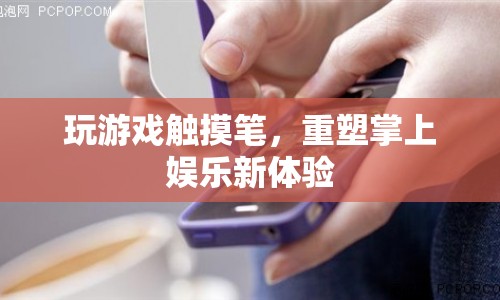 玩游戲觸摸筆，重塑掌上娛樂新體驗(yàn)