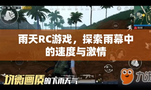 雨中飛馳，RC游戲探索雨幕中的極速挑戰(zhàn)