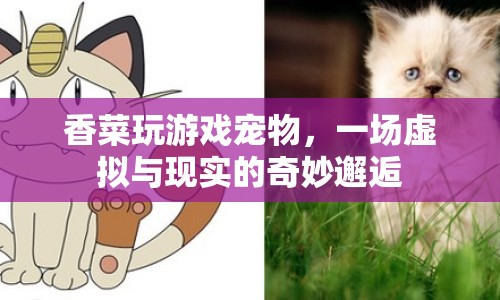 香菜與游戲?qū)櫸?，虛擬與現(xiàn)實的奇妙交融  第1張