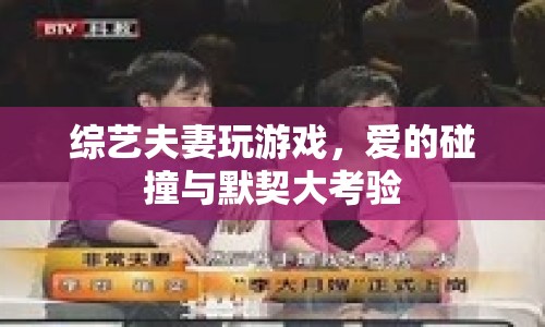 綜藝夫妻愛的碰撞，默契大考驗