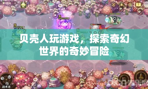 貝殼人奇幻冒險(xiǎn)，探索奇幻世界的游戲之旅